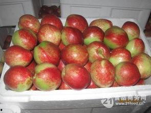 国产油桃推荐网站视频,视频带你领略美味与营养的完美结合