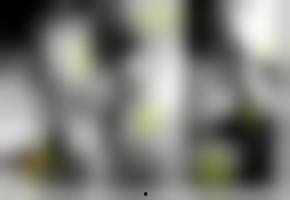 欧美国产综合视频在线,多元内容，无限精彩