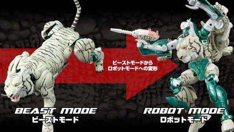 国产白虎变形视频,白虎变形震撼来袭，揭秘神秘变形力量