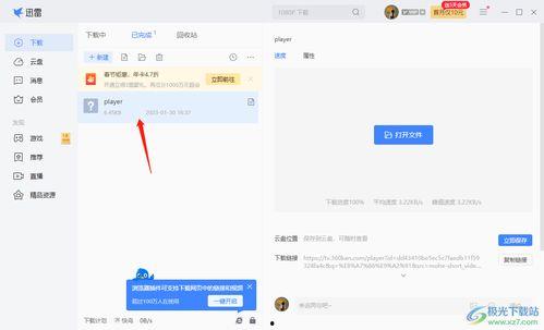 国产电脑如何下载迅雷视频,国产电脑轻松下载迅雷视频教程