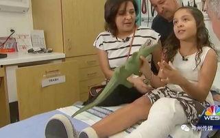 插大学女生国产视频,国产视频中的青春记忆与情感纠葛