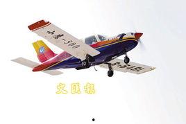 国产小飞机如何降落视频,精湛技艺与安全保障