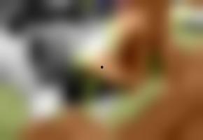 国产欧美视频小视频,潮流碰撞下的视觉盛宴