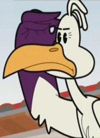 动漫国产动物在线观看视频,动物世界在线狂欢