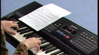 国产电子琴教学入门视频,跟随国产电子琴教学视频，开启音乐之旅