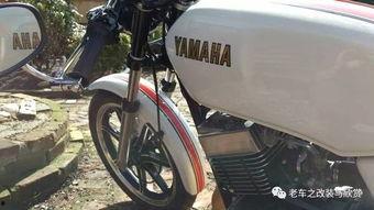 国产绵羊改装视频大全图片,改装视频大全视觉盛宴