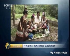 国产原生态视频在线观看,国产视频在线观影之旅