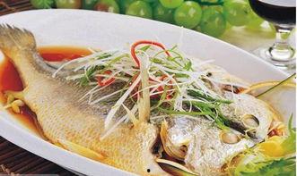 国产黄鱼力推荐视频,探寻鲜美滋味背后的匠心独运