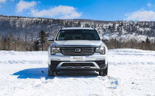 国产suv最帅视频播放,最帅车型视频播放揭秘